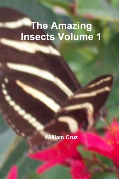 The Amazing Insects Volume 1