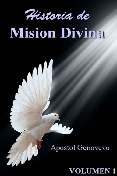 Historia de Mision Divina 1