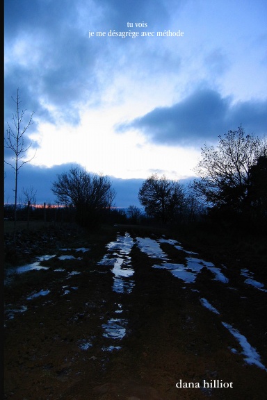 tu vois : je me désagrège avec méthode