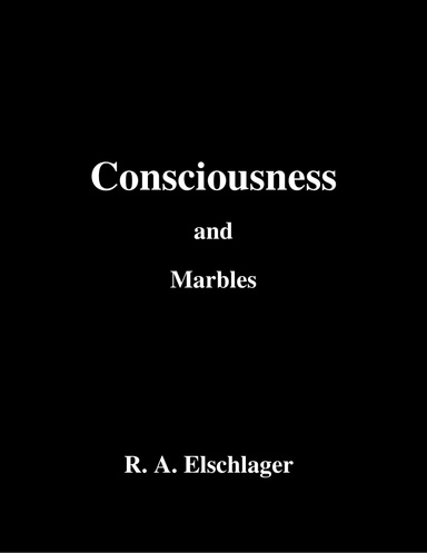 Consciousness and Marbles