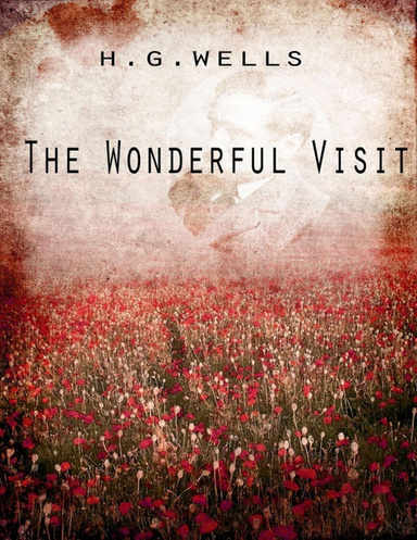 The Wonderful Visit