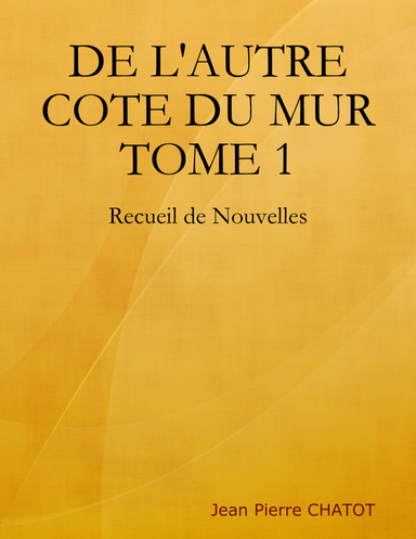 DE L'AUTRE COTE DU MUR TOME 1
