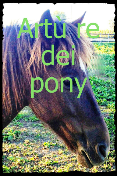 Artù re dei pony