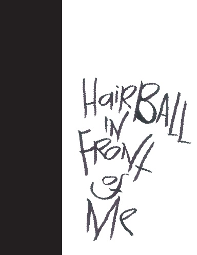 Madding Mission "Hairball In Front Of Me" Jotter Book