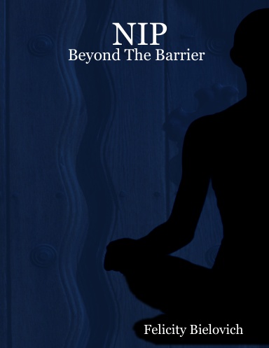 NIP: Beyond The Barrier