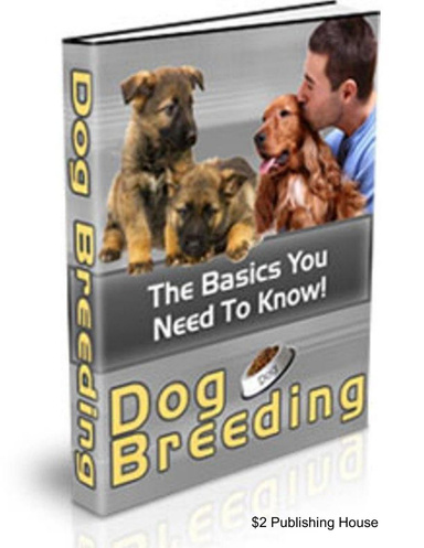 Dog Breeding: The Basics You Need To Know