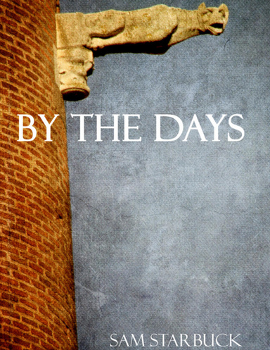 By The Days - Ebook