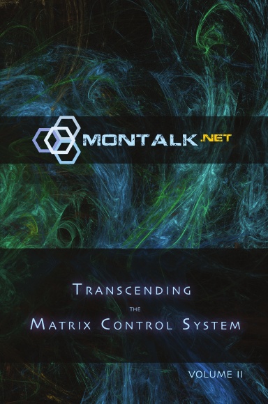 Transcending the Matrix Control System, Vol. 2