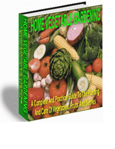 Home Vegetable Gardening
