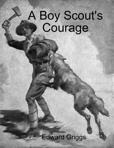 A Boy Scout's Courage