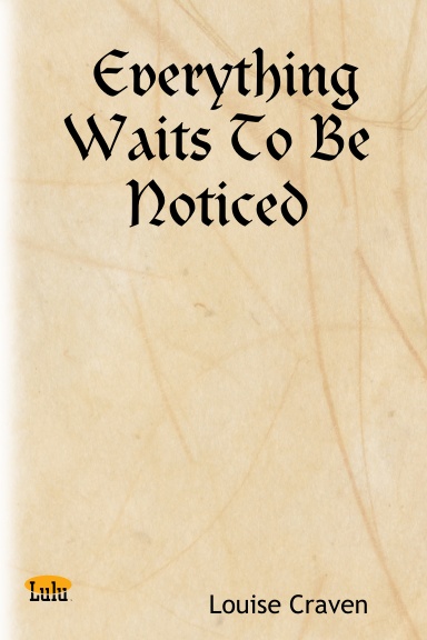 Everything Waits To Be Noticed