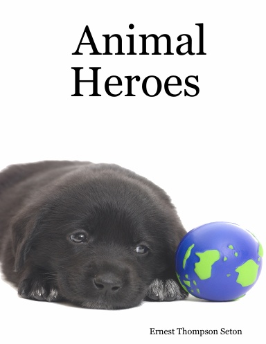 Animal Heroes