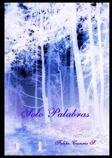 Solo palabras