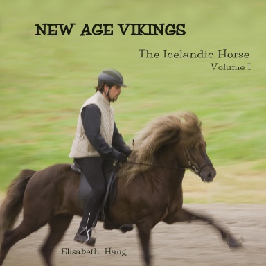 NEW AGE VIKINGS