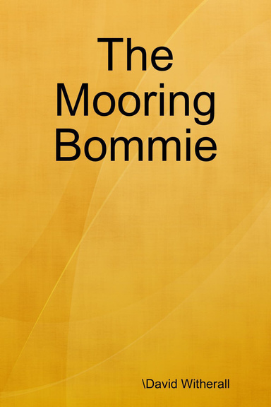 The Mooring Bommie