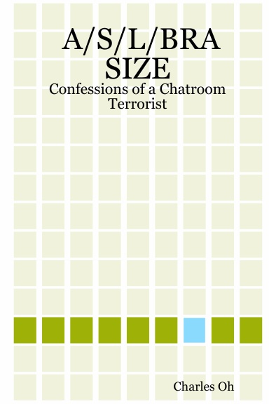 A/S/L/BRA SIZE: Confessions of a Chatroom Terrorist