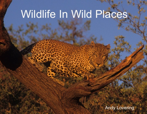 Wildlife In Wild Places