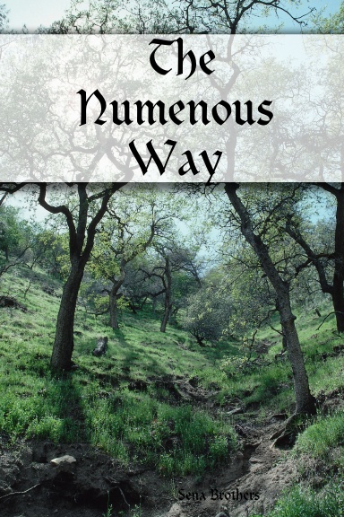 The Numenous Way