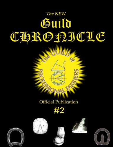 New Guild Chronicle #2