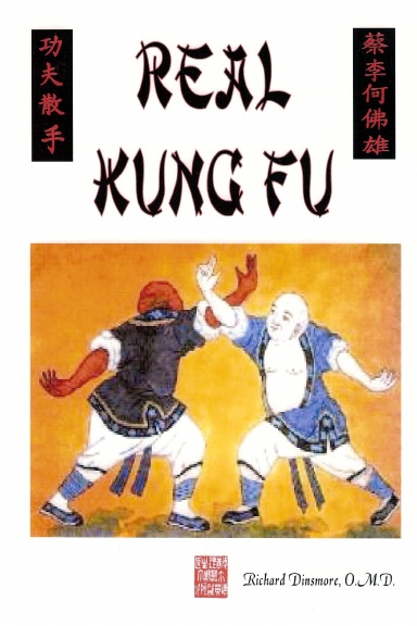 Real Kung Fu