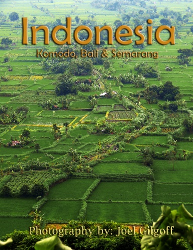 Indonesia - Komodo, Bali, Semarang
