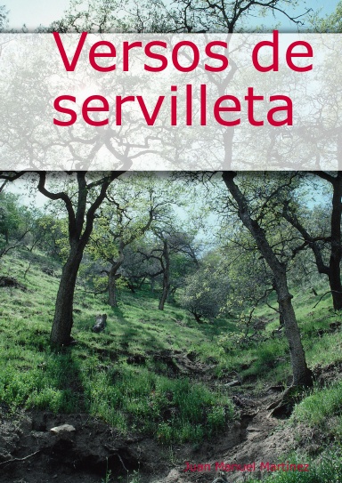 Versos de servilleta