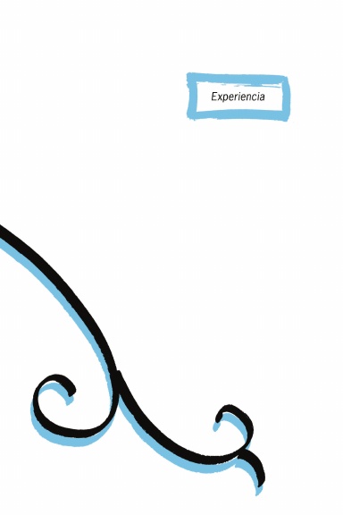 Experiencia