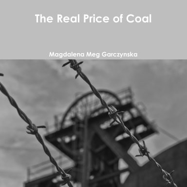 New the real price of coal