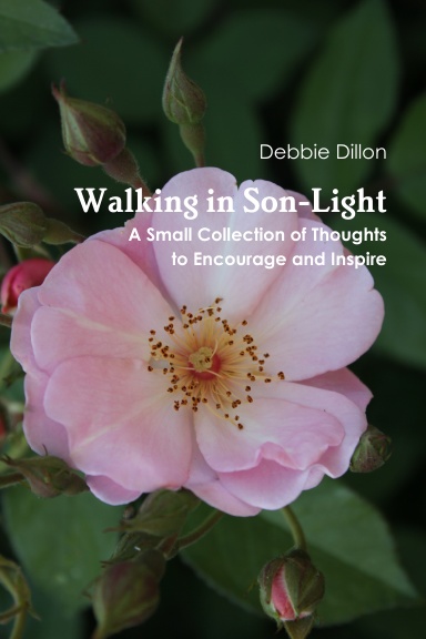 Walking in Son-Light