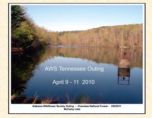 AWS Tennessee Outing 2010