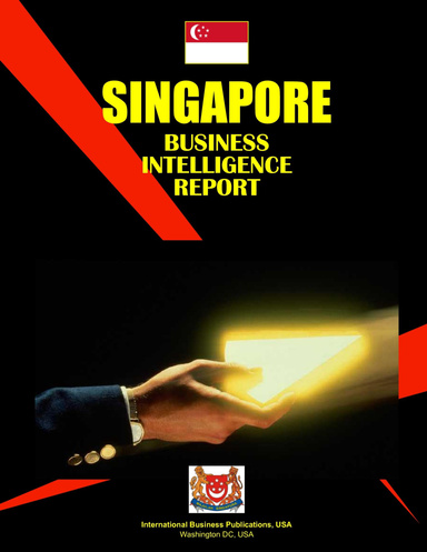 Singapore Business Intelligence Report