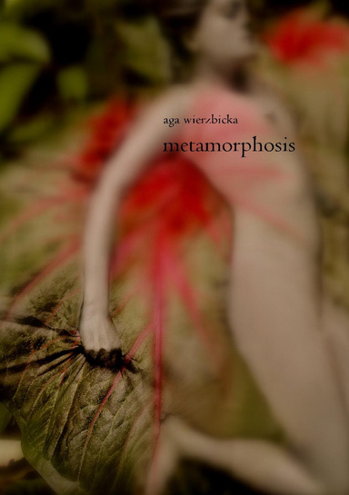 Metamorphosis