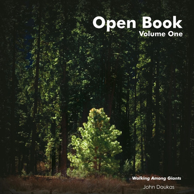 Open Book vol. 1