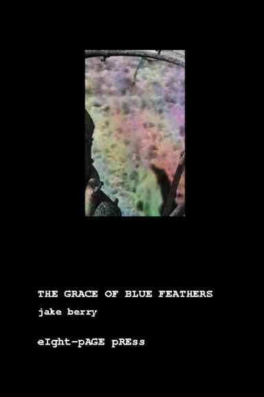 THE GRACE OF BLUE FEATHERS