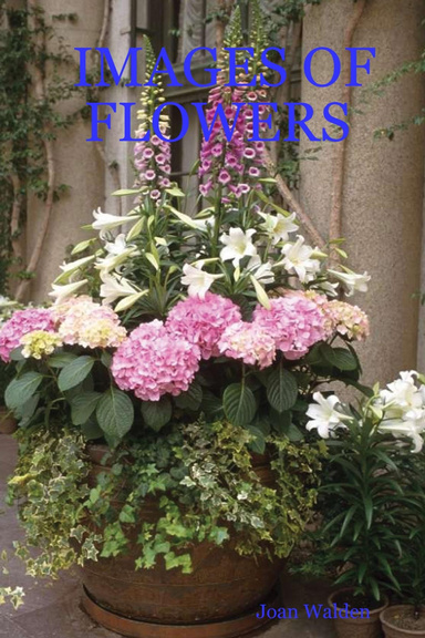 IMAGES OF FLOWERS