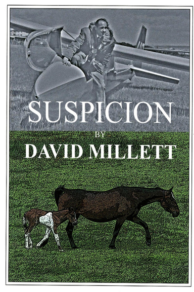 Suspicion