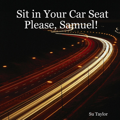 Sit in Your Car Seat Please, Samuel!