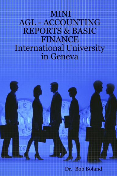 MINI - AGL - ACCOUNTING REPORTS & BASIC FINANCE         International University in Geneva