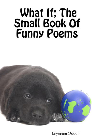 What If; The Small Book Of Funny Poems
