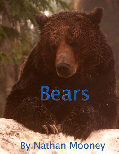 Bears