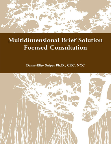 Multidimensional Brief Solution Focused Consultation