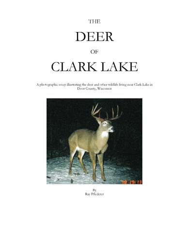 The Deer of Clark Lake