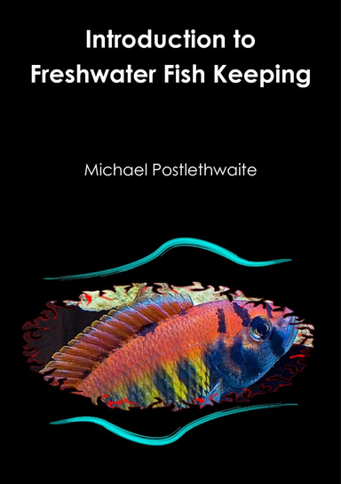 Introduction to Freshwater Fish Keeping