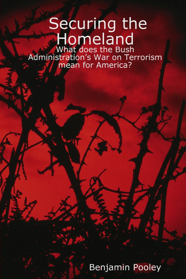 Securing the Homeland:      What does the Bush Administration’s War on Terrorism mean for America?