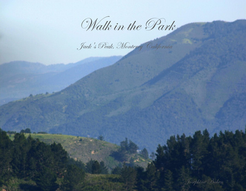 Walk in the Park - Jack's Peak, Monterey California