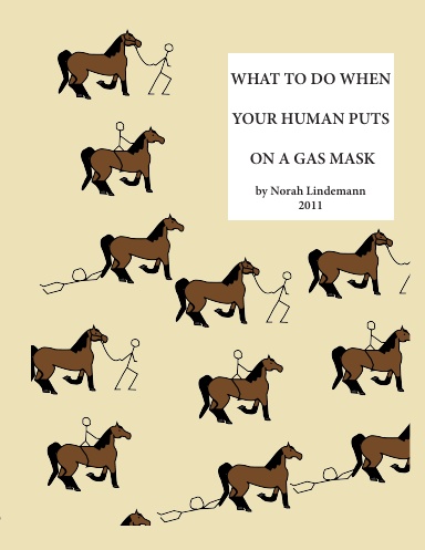 WHAT TO DO WHEN YOUR HUMAN PUTS ON A GAS MASK
