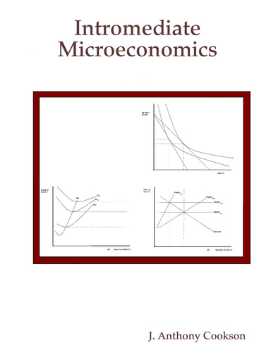 Intromediate Microeconomics