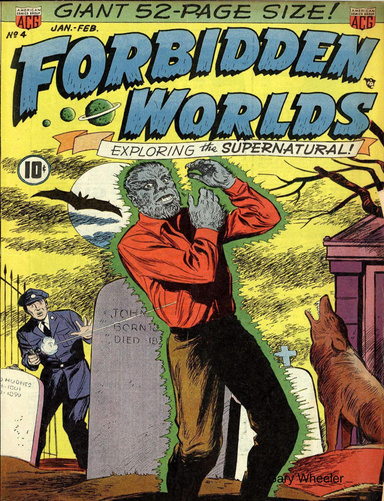 Forbidden Worlds 4
