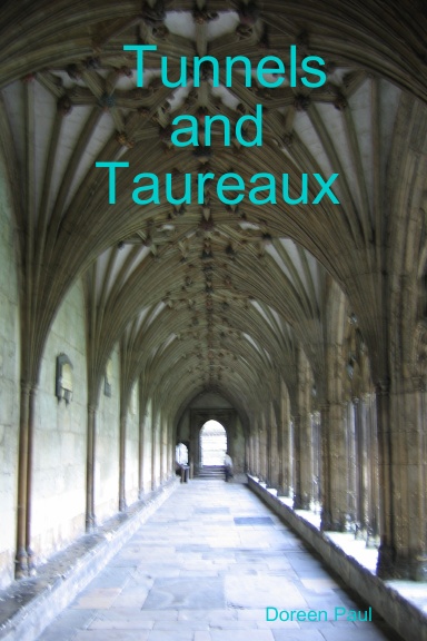 Tunnels and Taureaux