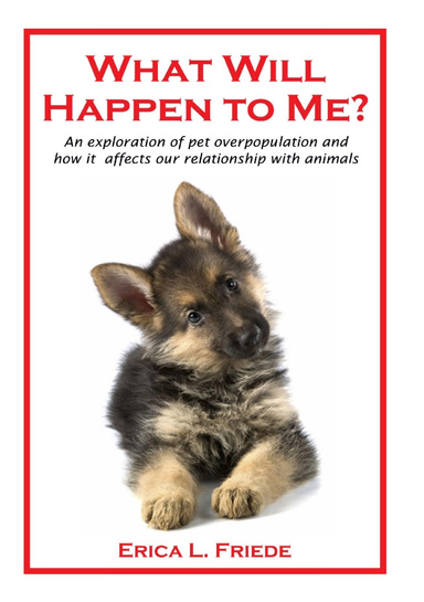 What Will Happen to Me? An exploration of pet overpopulation and how it affects our relationship with animals